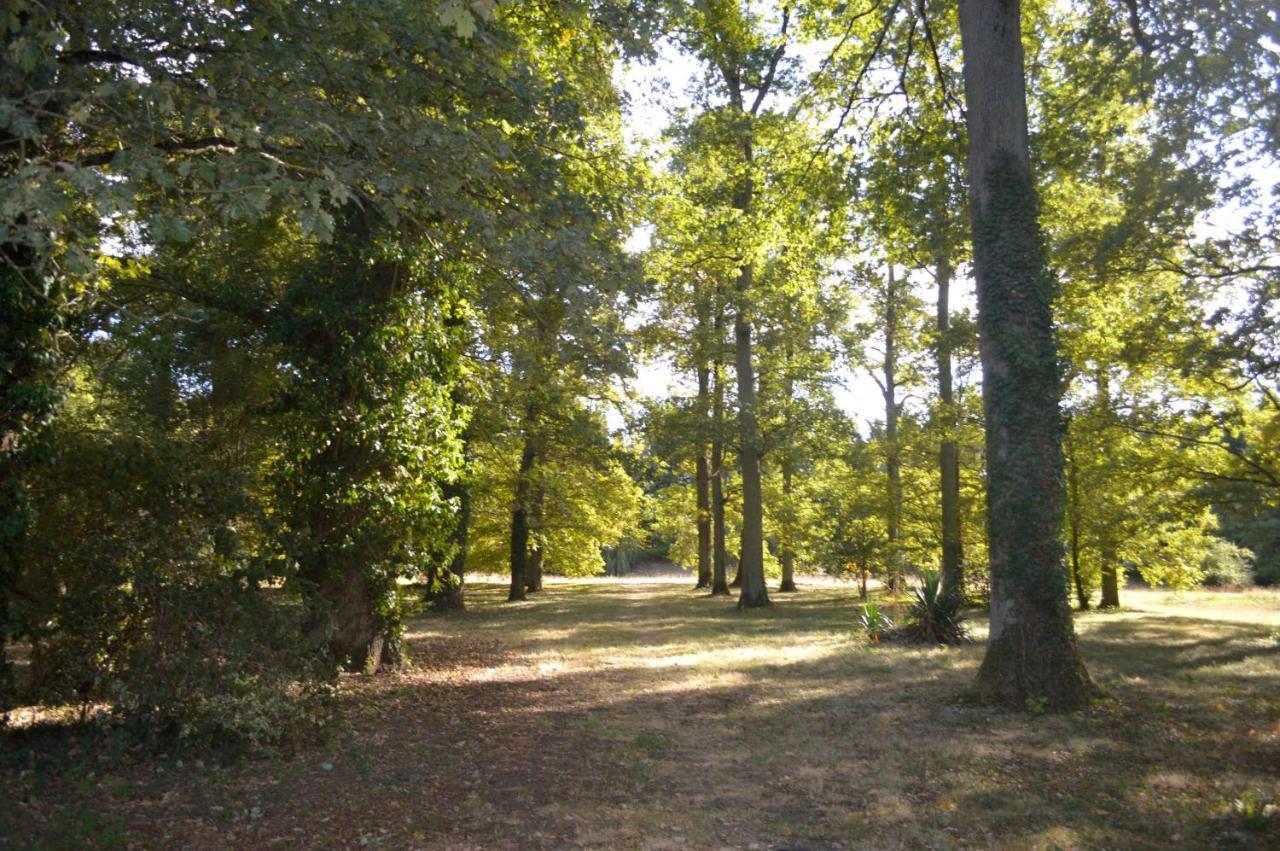 Zenbreak Chambre Vue Sur Parc Saint-Jean-le-Blanc Екстер'єр фото